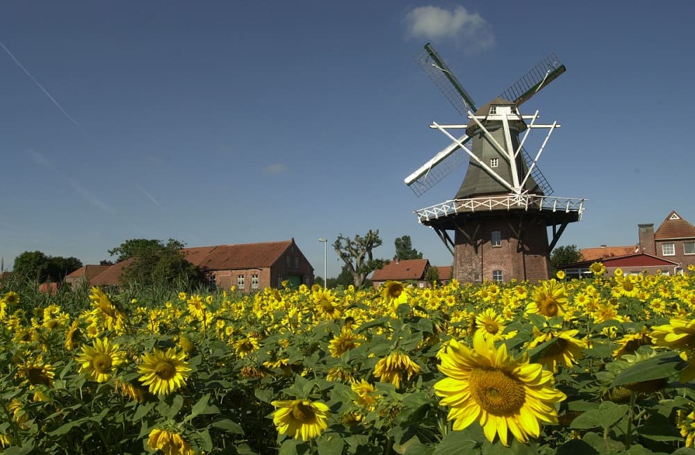 Windmühle aus der Gemeinde Holtriem