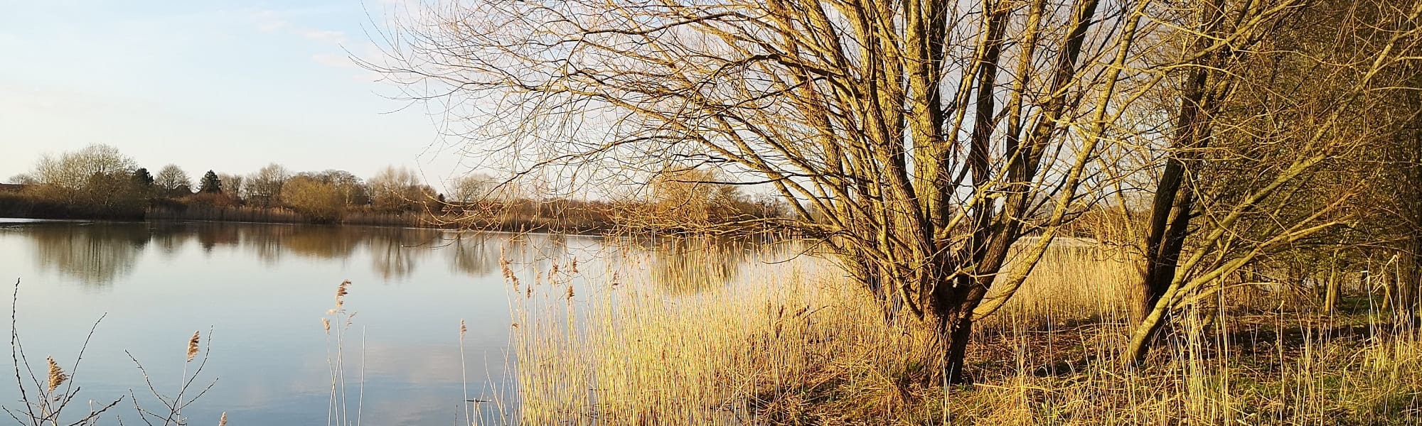 See im Herbst/Winter mit Bäumen im Vordergrund