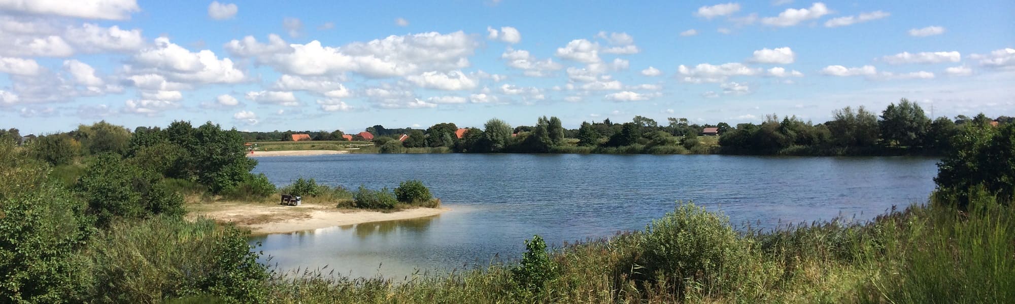 Weg, der von blühenden Bäumen gesäumt ist