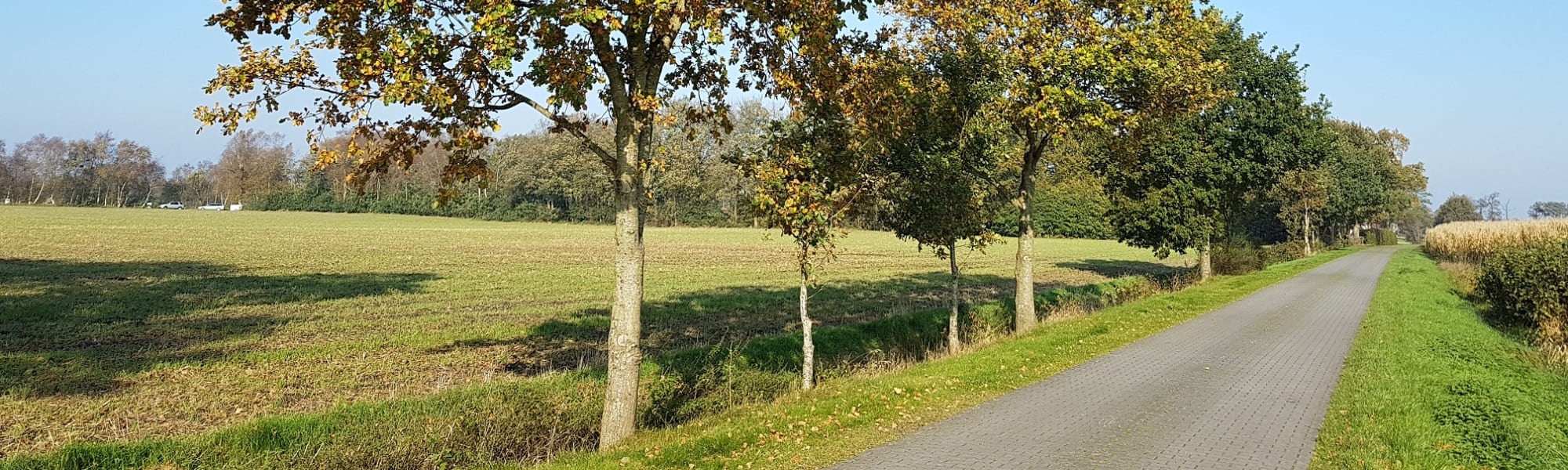 Grüne Wiesen in Norddeutschland, im Hintergrund zwei Windräder