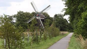 Windmühle, die in einem bewaldeten Gebiet steht