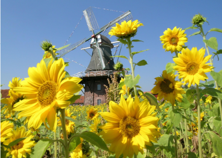 Dorfgarten an der Mühle