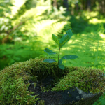 Klimaschutz