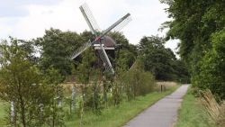 Windmühle, die in einem bewaldeten Gebiet steht