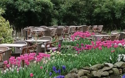 Eine Terrasse mit Tischen und Stühlen und blühenden Blumen im Vordergrund