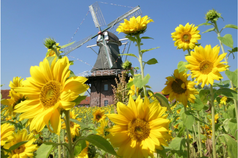Dorfgarten an der Mühle